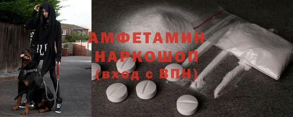 стаф Алексин