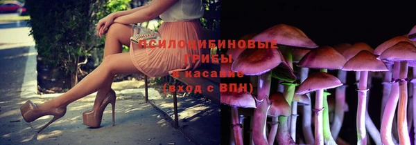 сатива Алзамай